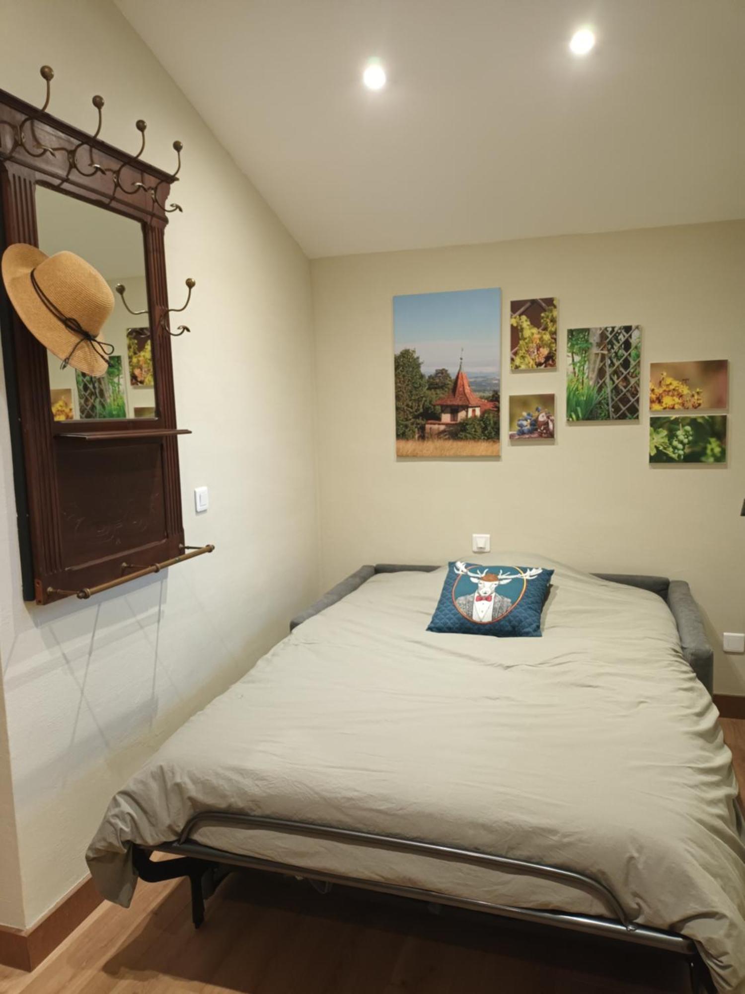 La Ferme De Berlioz Aparthotel La Cote-Saint-Andre Εξωτερικό φωτογραφία