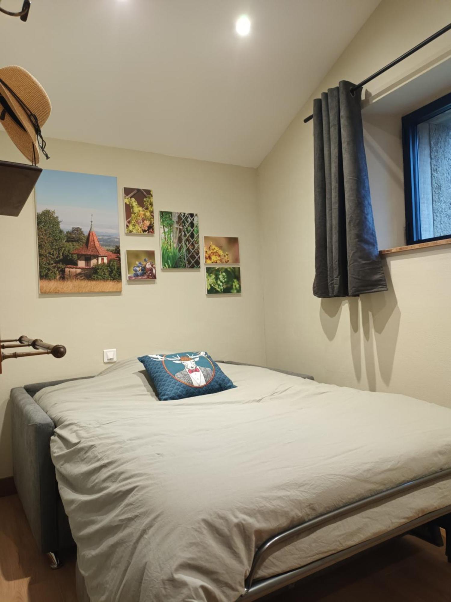La Ferme De Berlioz Aparthotel La Cote-Saint-Andre Εξωτερικό φωτογραφία